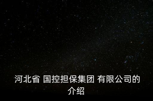  河北省 國控?fù)?dān)保集團 有限公司的介紹