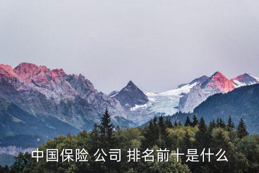 中國保險(xiǎn) 公司 排名前十是什么