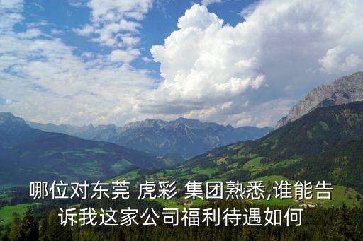 哪位對東莞 虎彩 集團(tuán)熟悉,誰能告訴我這家公司福利待遇如何