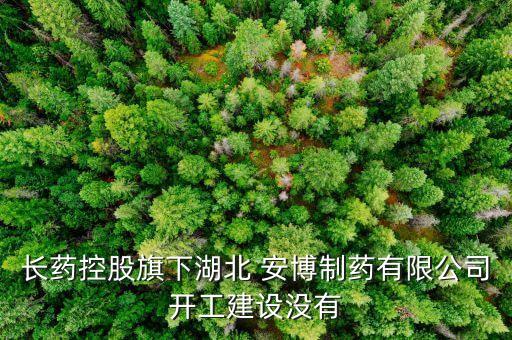 長藥控股旗下湖北 安博制藥有限公司開工建設(shè)沒有