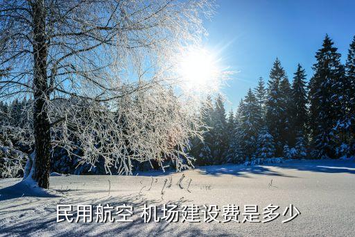 民用航空 機場建設費是多少