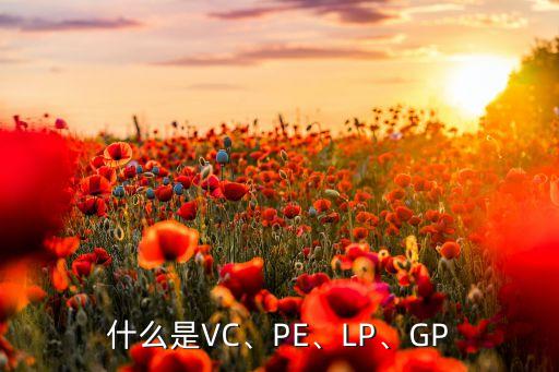 什么是VC、PE、LP、GP