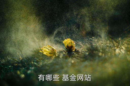 有哪些 基金網站