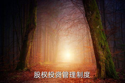 離岸公司股東否決權,股東占比多少才有否決權