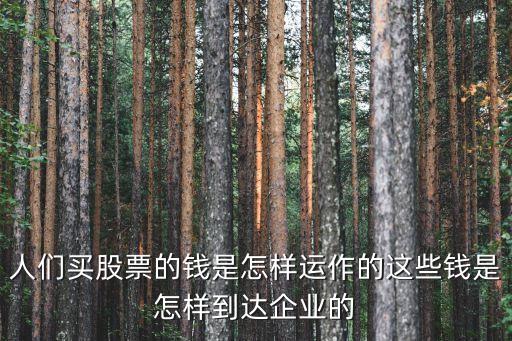 人們買(mǎi)股票的錢(qián)是怎樣運(yùn)作的這些錢(qián)是怎樣到達(dá)企業(yè)的