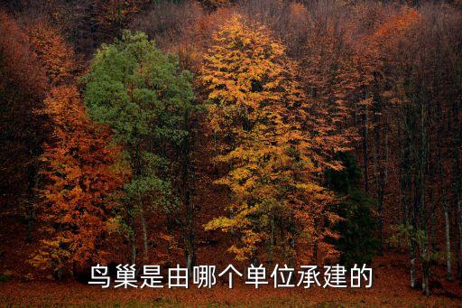 鳥巢是由哪個(gè)單位承建的