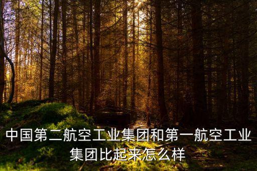 中國(guó)第二航空工業(yè)集團(tuán)和第一航空工業(yè)集團(tuán)比起來怎么樣