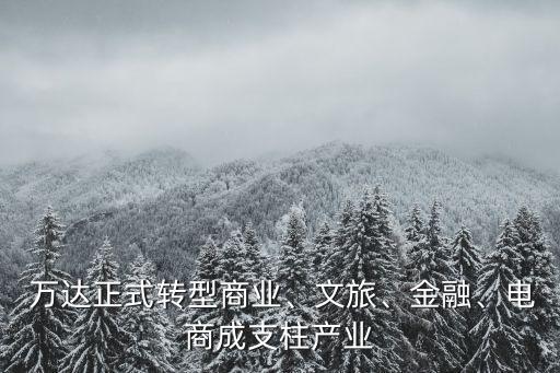  萬達(dá)正式轉(zhuǎn)型商業(yè)、文旅、金融、電商成支柱產(chǎn)業(yè)