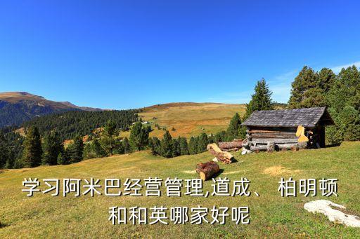 學習阿米巴經(jīng)營管理,道成、 柏明頓和和英哪家好呢