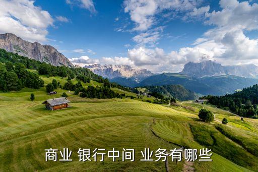 商業(yè) 銀行中間 業(yè)務有哪些