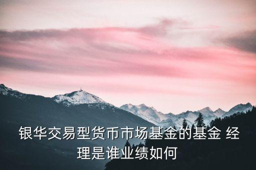  銀華交易型貨幣市場基金的基金 經(jīng)理是誰業(yè)績如何