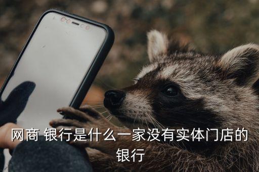 網(wǎng)商 銀行是什么一家沒(méi)有實(shí)體門(mén)店的 銀行