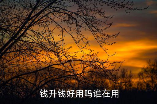 上海錢(qián)升錢(qián),錢(qián)升錢(qián)app