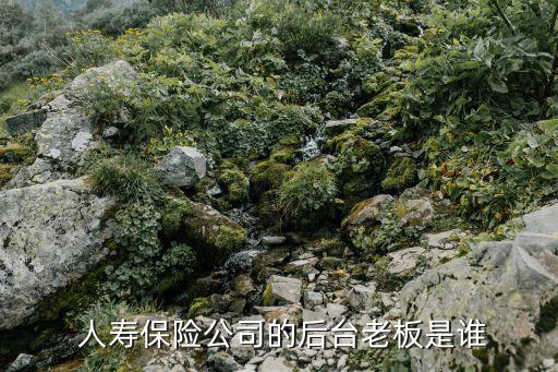  人壽保險(xiǎn)公司的后臺老板是誰