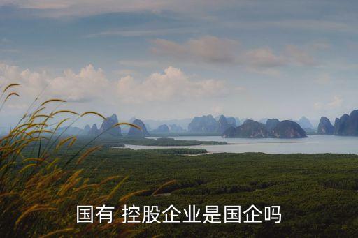 政府控股公司是什么,控股公司服務是什么業(yè)務