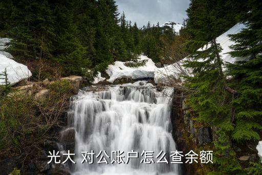 光大 對(duì)公賬戶怎么查余額