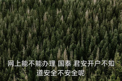 網(wǎng)上能不能辦理 國(guó)泰 君安開戶不知道安全不安全呢