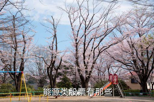  能源類(lèi)股票有那些
