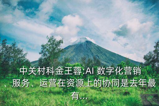  中關(guān)村科金王蓉:AI 數(shù)字化營(yíng)銷(xiāo)、服務(wù)、運(yùn)營(yíng)在資源上的協(xié)同是去年最有...