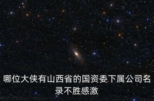 武安市國(guó)有資產(chǎn)經(jīng)營(yíng)有限公司,杭州蕭山國(guó)有資產(chǎn)經(jīng)營(yíng)集團(tuán)有限公司