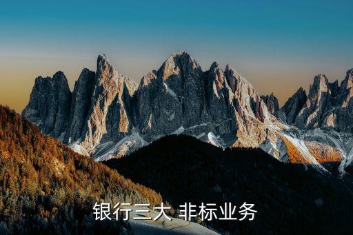 銀行三大 非標業(yè)務(wù)