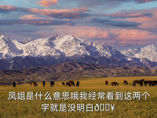  鳳姐是什么意思哦我經(jīng)?？吹竭@兩個字就是沒明白?
