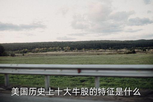 美國(guó)歷史上十大牛股的特征是什么