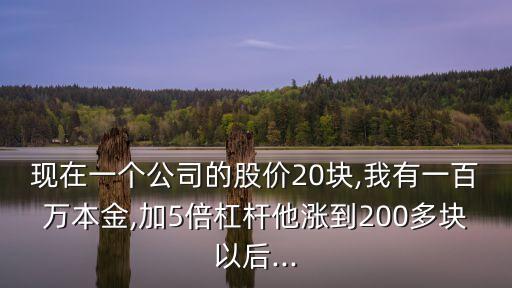 現在一個公司的股價20塊,我有一百萬本金,加5倍杠桿他漲到200多塊以后...