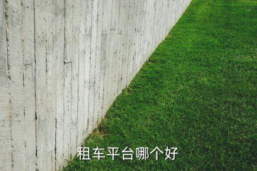 租車平臺哪個(gè)好