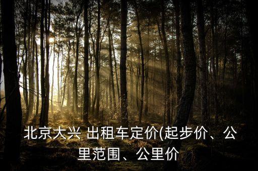  北京大興 出租車(chē)定價(jià)(起步價(jià)、公里范圍、公里價(jià)