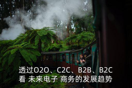 透過(guò)O2O、C2C、B2B、B2C看 未來(lái)電子 商務(wù)的發(fā)展趨勢(shì)