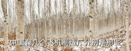 中國有幾個(gè)飛機(jī)制造廠分別是那些