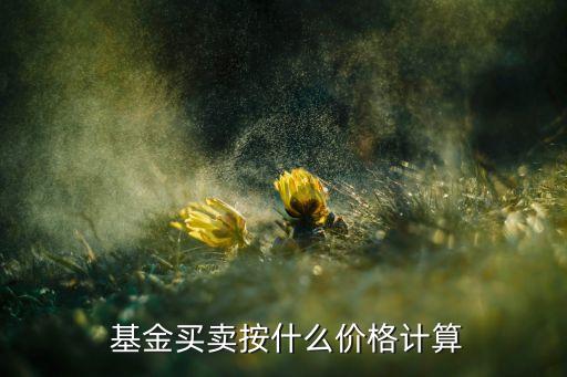 個(gè)大銀行柜臺(tái)買(mǎi)基金凈值怎么算