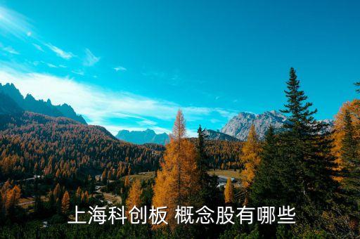  上?？苿?chuàng)板 概念股有哪些