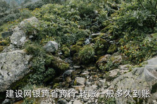 建設網(wǎng)銀跨省跨行 轉(zhuǎn)賬一般多久到賬