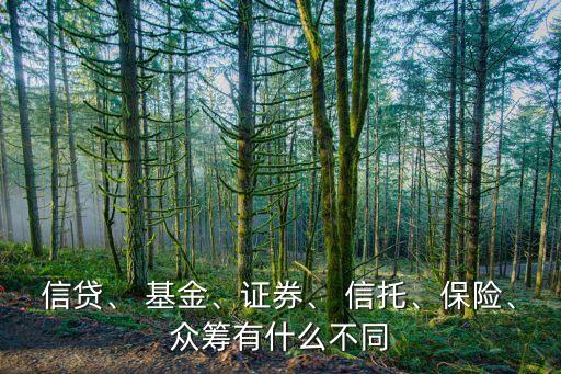 信貸、 基金、證券、 信托、保險(xiǎn)、眾籌有什么不同