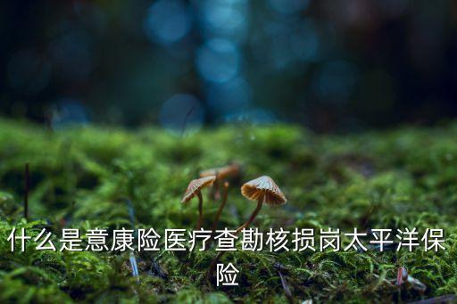中國(guó)太?；A(chǔ)設(shè)施債權(quán),基礎(chǔ)設(shè)施債權(quán)計(jì)劃