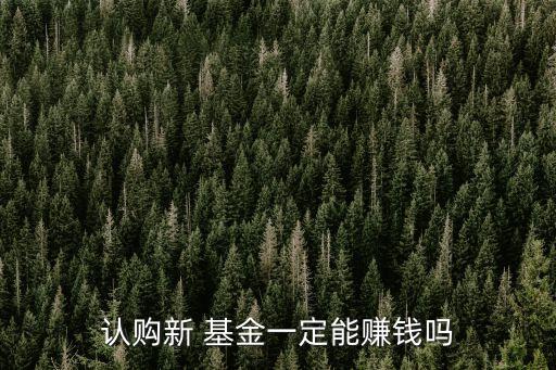 認(rèn)購(gòu)新 基金一定能賺錢嗎