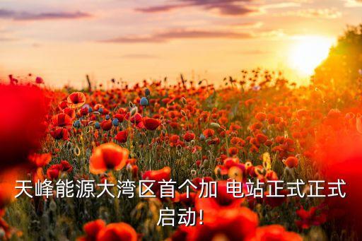 天峰能源大灣區(qū)首個(gè)加 電站正式正式啟動!