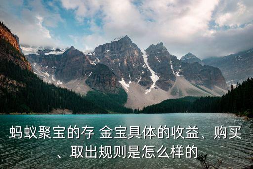 螞蟻聚寶的存 金寶具體的收益、購買、取出規(guī)則是怎么樣的