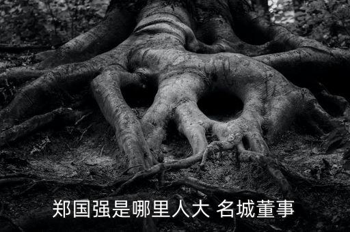 鄭國(guó)強(qiáng)是哪里人大 名城董事