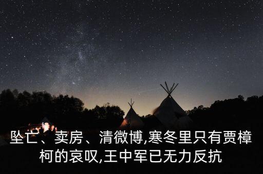 墜亡、賣房、清微博,寒冬里只有賈樟柯的哀嘆,王中軍已無力反抗