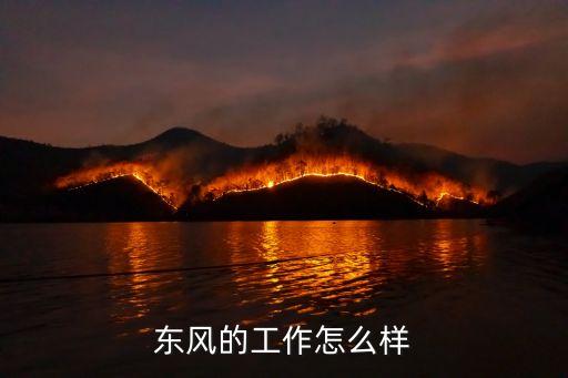東風(fēng)汽車(chē)公司住房補(bǔ)貼文件