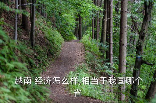  越南 經(jīng)濟(jì)怎么樣,相當(dāng)于我國哪個省