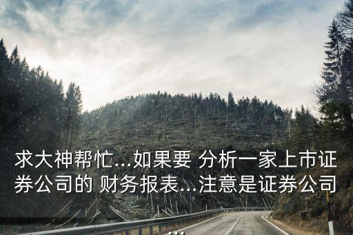 求大神幫忙…如果要 分析一家上市證券公司的 財務報表…注意是證券公司...