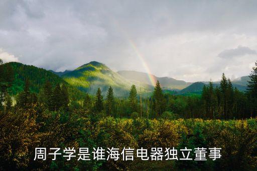 周子學(xué)是誰(shuí)海信電器獨(dú)立董事
