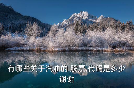 有哪些關于汽油的 股票,代碼是多少謝謝