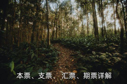  本票、支票、 匯票、期票詳解