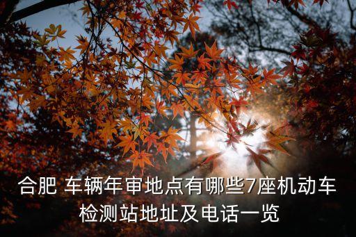 淮南市城投公司車(chē)輛檢測(cè)中心