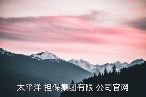 太平洋 擔保集團有限 公司官網(wǎng)